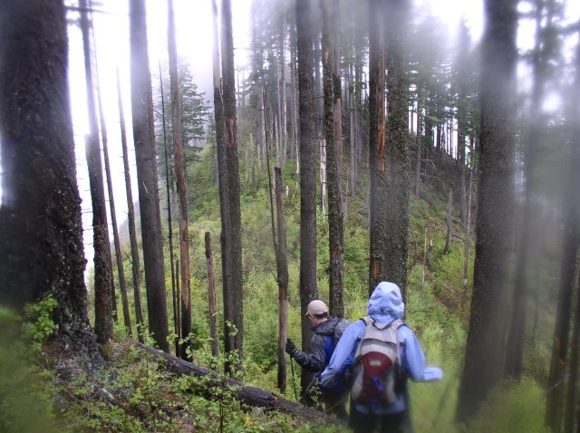 5.7.06 Wauna Point 017 